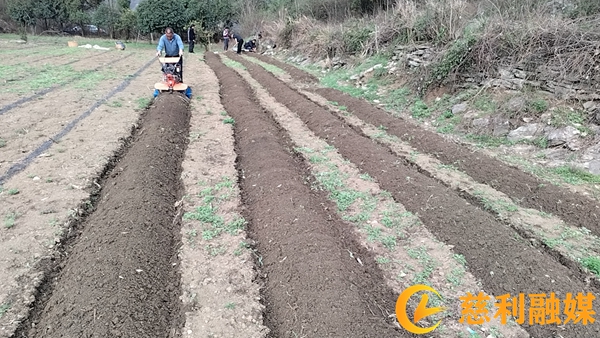 2b24a5f9c5e7dcd0fe1f554d31eb1c4.jpg 2b24a5f9c5e7dcd0fe1f554d31eb1c4.jpg