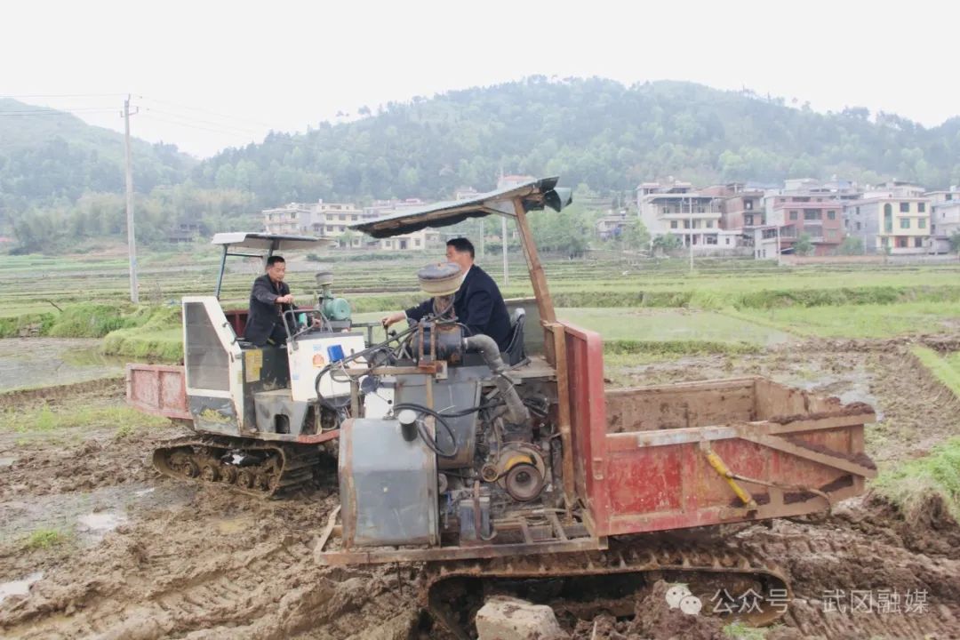 武冈市高标准农田建设全面提速 高质高效扫尾(图3)