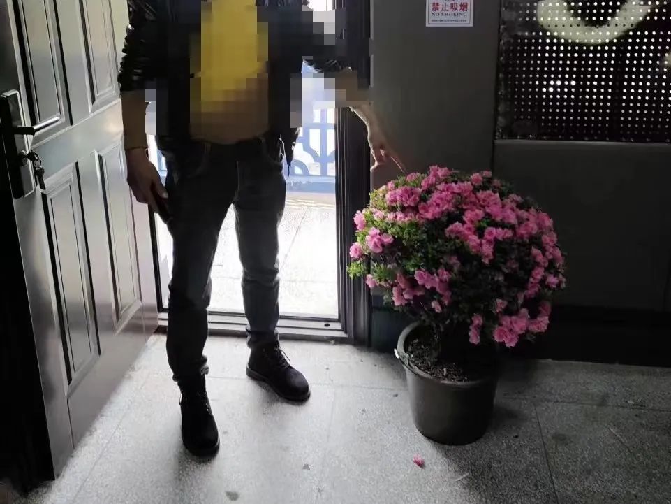 图片 图片