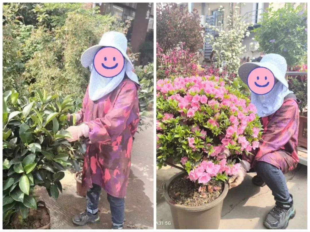 图片 图片
