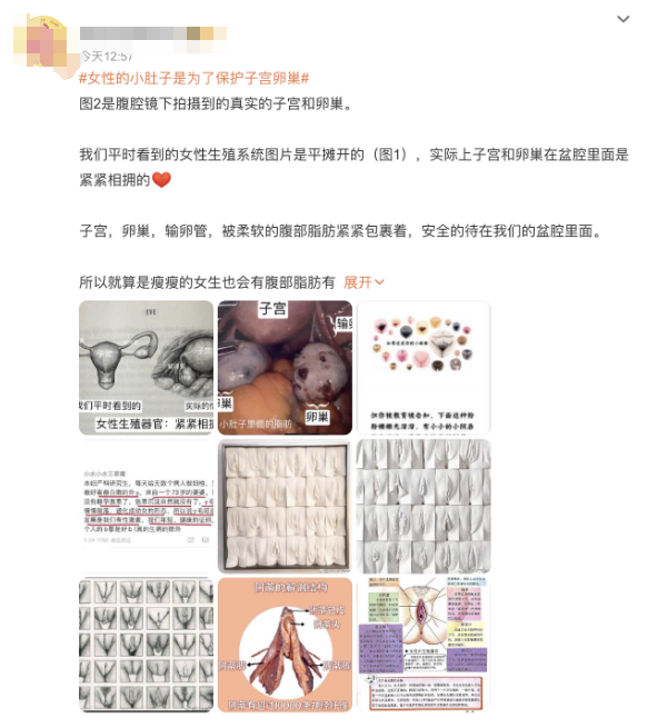 微信图片_20240412112104.png