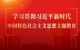 学习贯彻习近平新时代中国特色社会主义思想主题教育