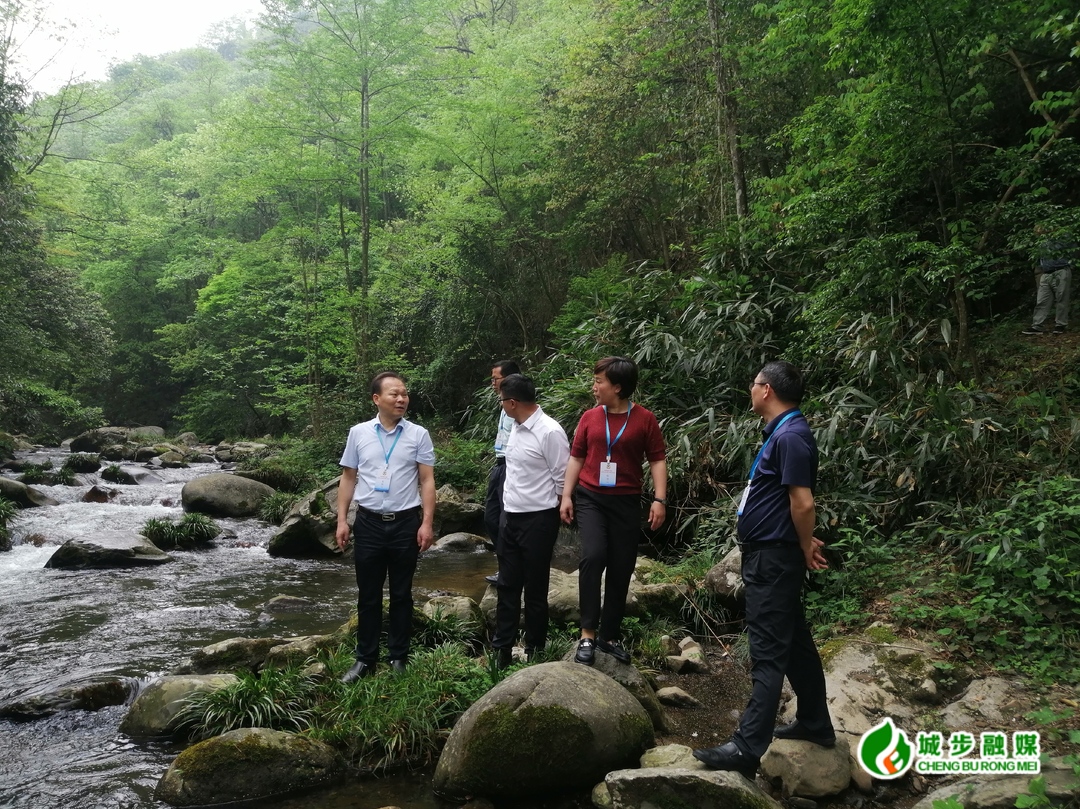 唐承威带队到威溪乡开展改善生态环境专项民主监督活动(图2)