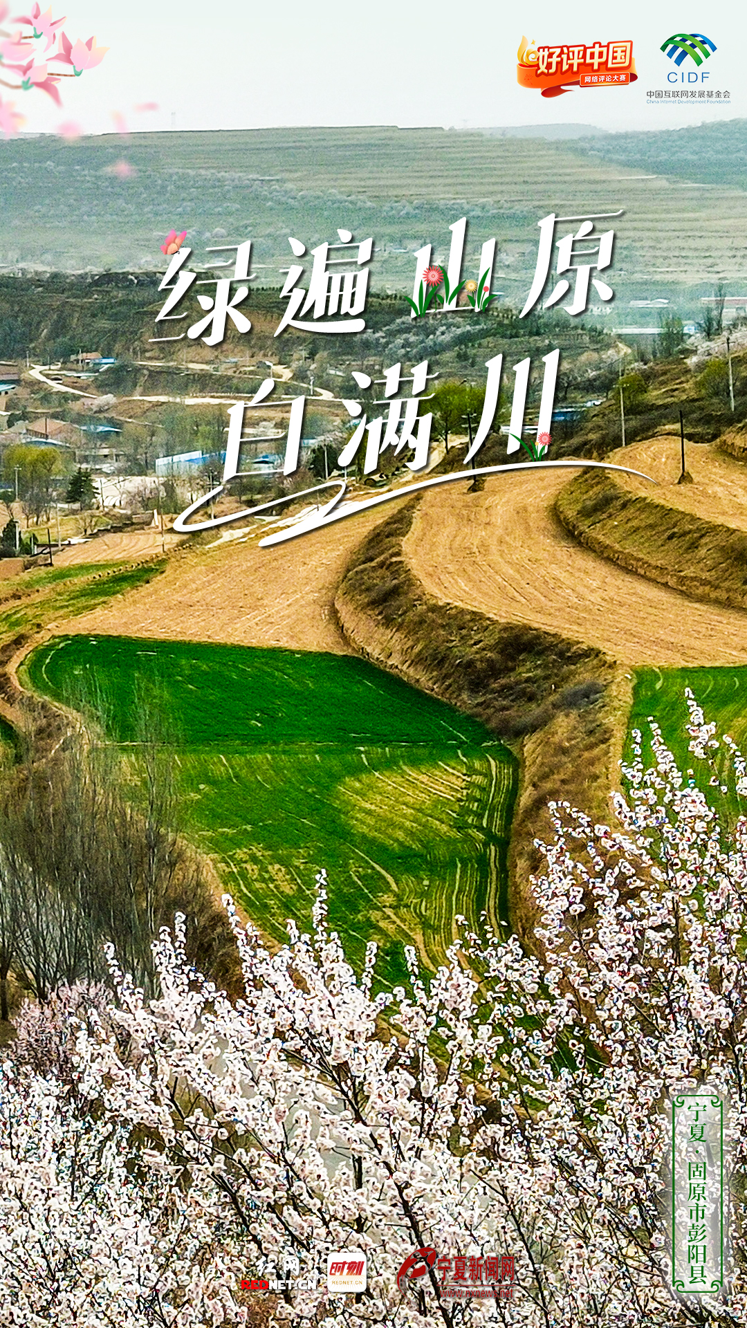 c2d3e48b-ad3b-4dc7-8154-526ad53a9e06.jpg