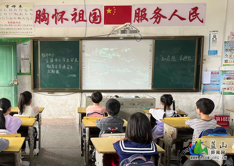 蓝山县楠市中心小学开展交通安全教育主题系列活动.jpg