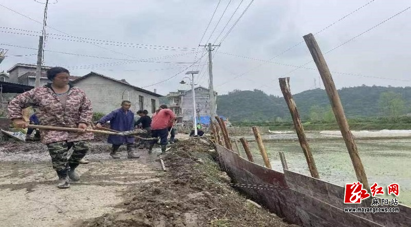 微信图片_20240419105842.jpg