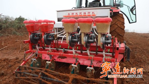 宁远：油茶地里种南瓜  春耕套种促增收2_副本500.jpg