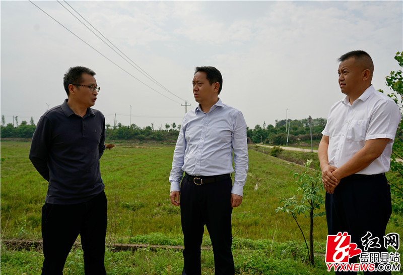 在黄沙街镇荷塘村督导项目段协调及征拆相关情况.jpg