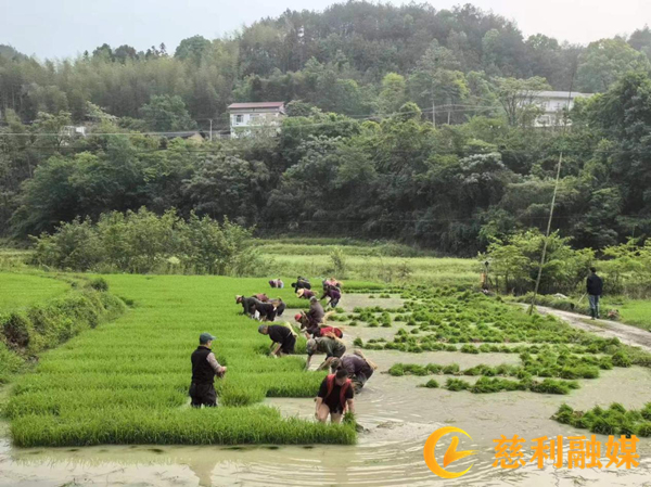 图片1_副本.png