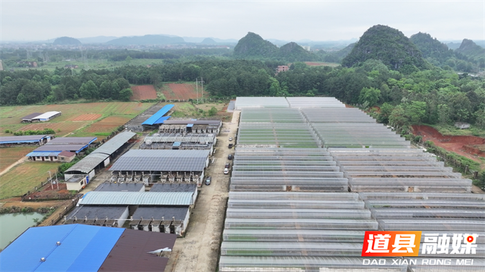 闲置设施再利用 一棚多用巧助农2_副本.png