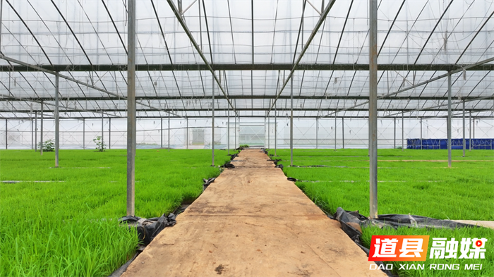 闲置设施再利用 一棚多用巧助农1_副本.png