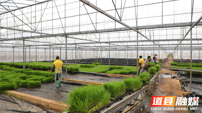 闲置设施再利用 一棚多用巧助农4_副本.png