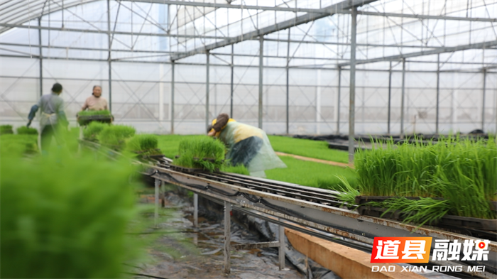 闲置设施再利用 一棚多用巧助农6_副本.png