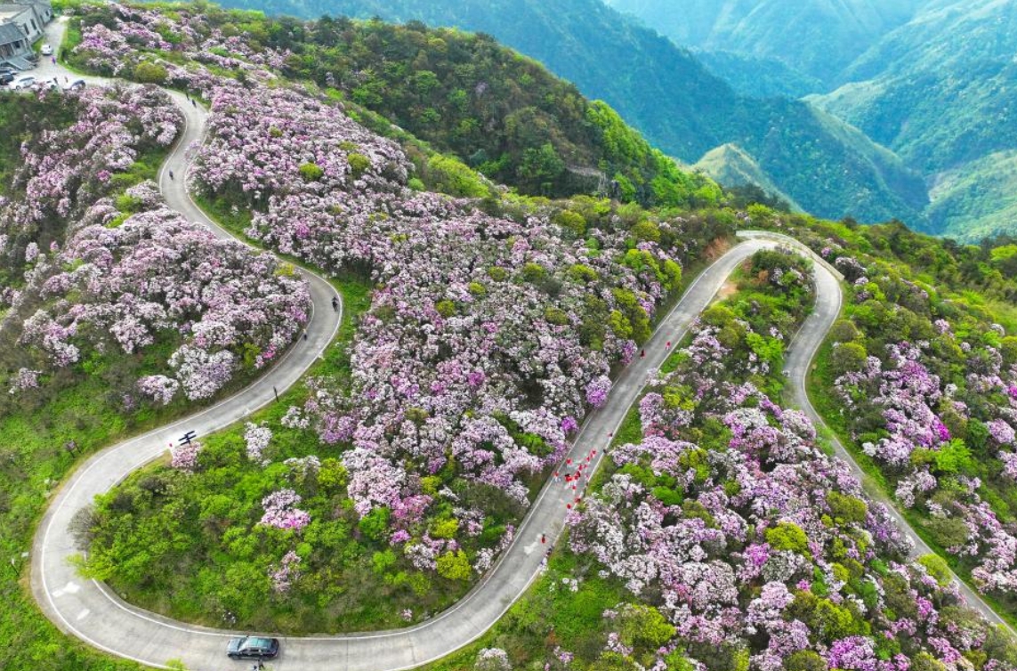 Amazing spring scenery across China