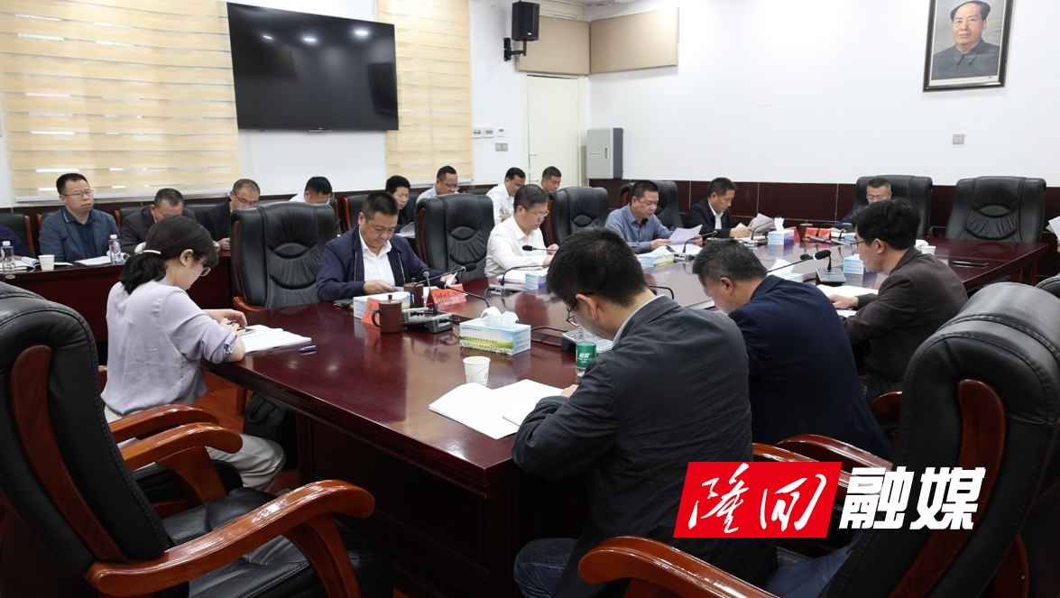 隆回县召开县委人才工作领导小组2024年第一次会议(图1)