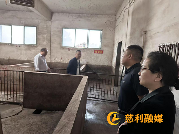 图片2_副本1.png