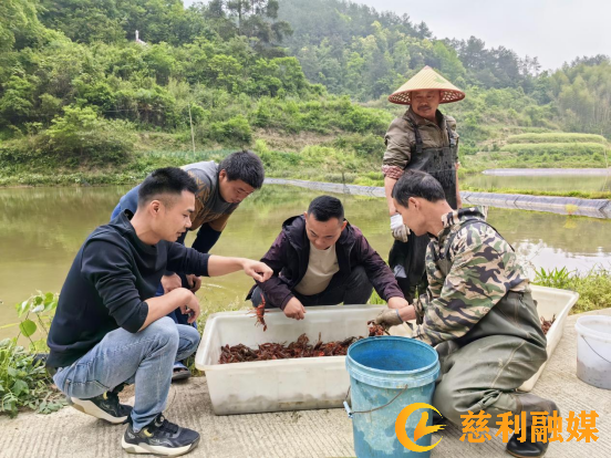 图片(115).png