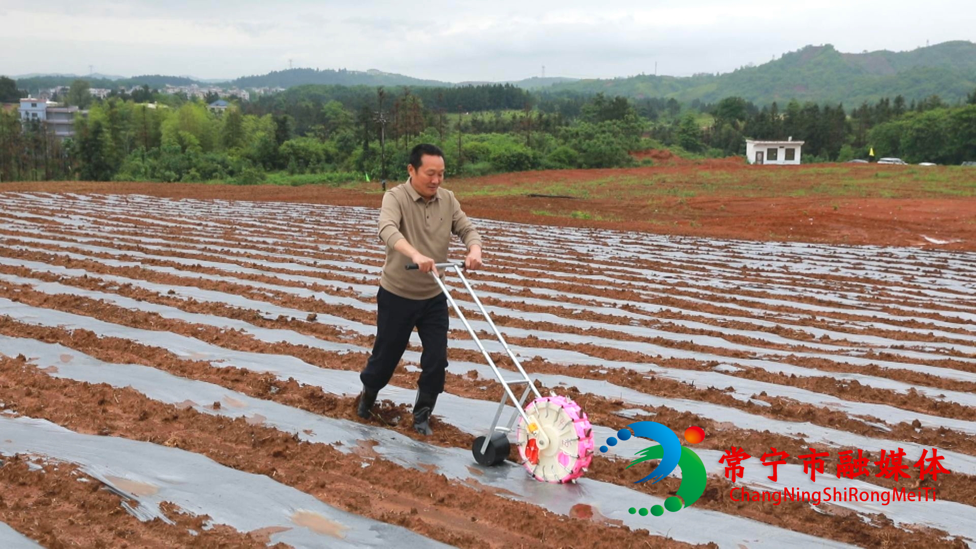 白沙镇：引资赋能 做大做强中药材产业 (11).jpg