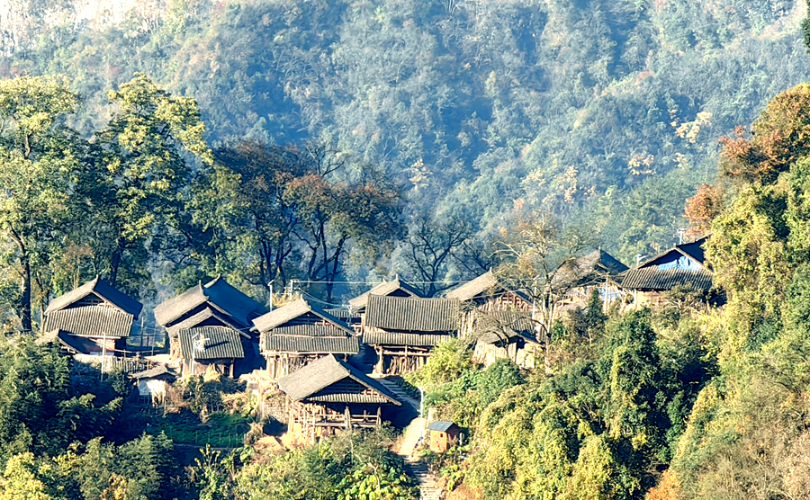 500608739_副本.jpg