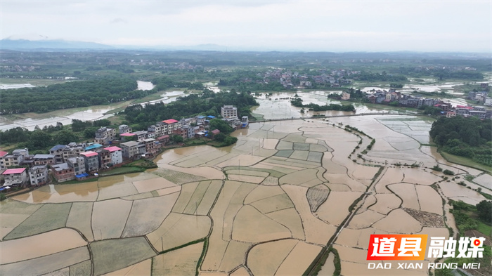 道县：持续暴雨引发内涝 400多亩农田汪洋一片2_副本.jpg