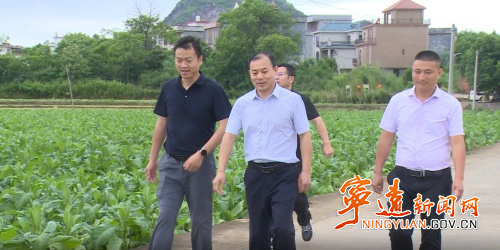 杨国基2_副本500.jpg