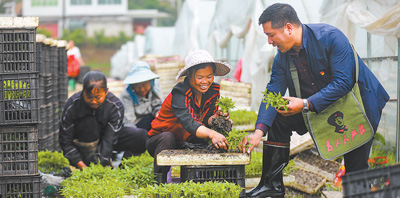 贵州省黔西市雨朵镇小水井村驻村第一书记符兰平（右一）向村民了解生产情况。  周训超摄（人民视觉）