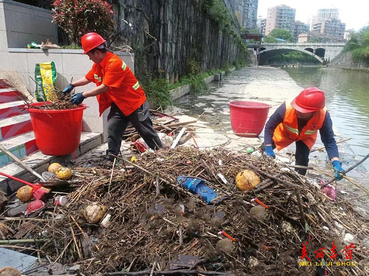 清理河道垃圾 提升水系颜值2.jpg