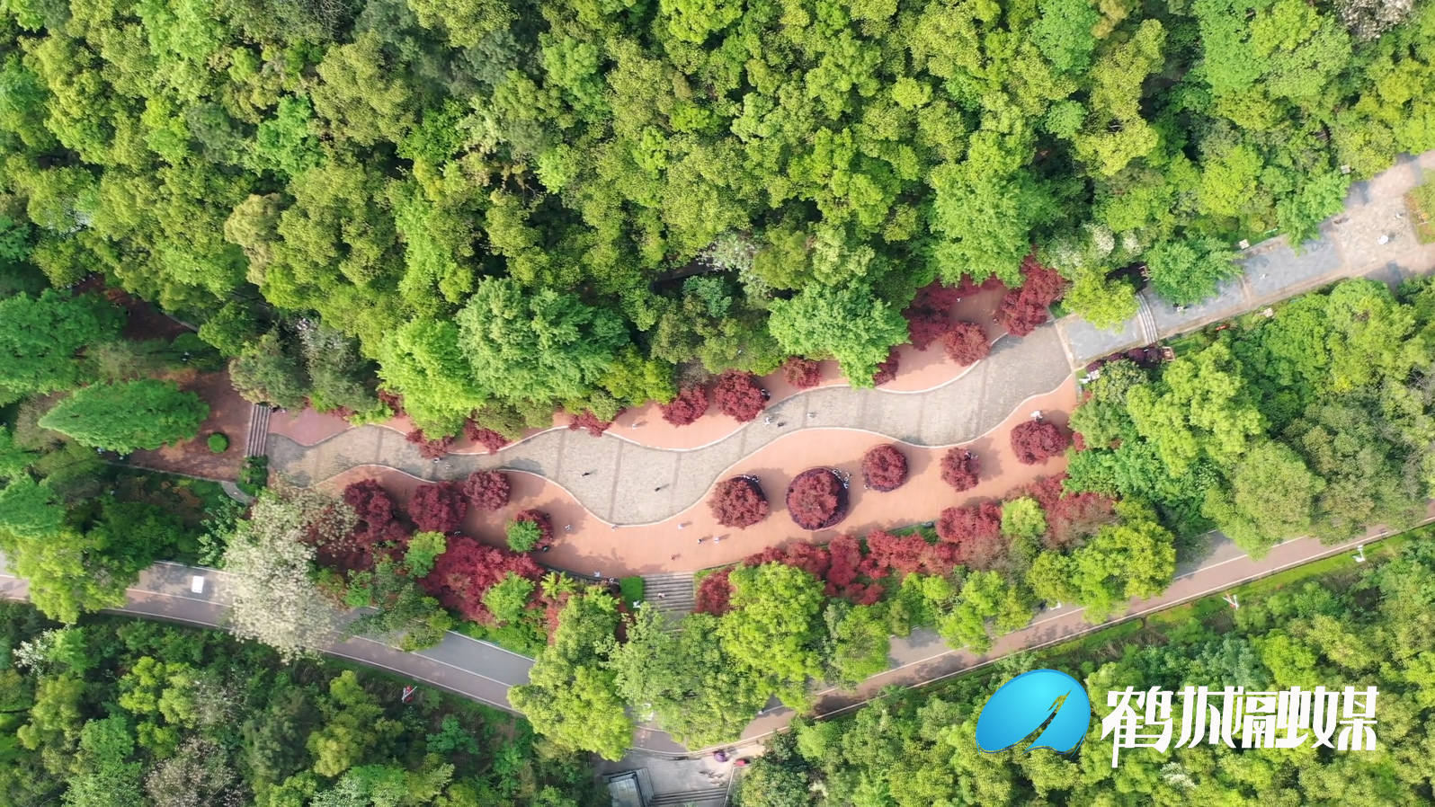 迎豐公園：城市綠洲?更是一座茂密的森林