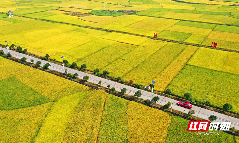 田成方,好种粮。(800).png 图片