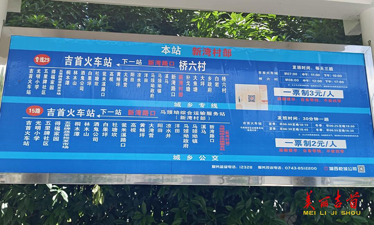 运“蔬”车直通“家门口” 菜农脸上笑开颜！3.jpg