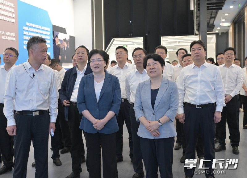 长沙市党政代表团考察江苏省产业技术研究院。