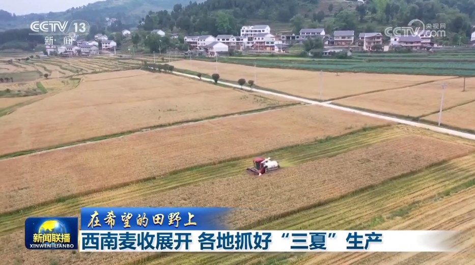 【在希望的田野上】西南麦收展开 各地抓好“三夏”生产