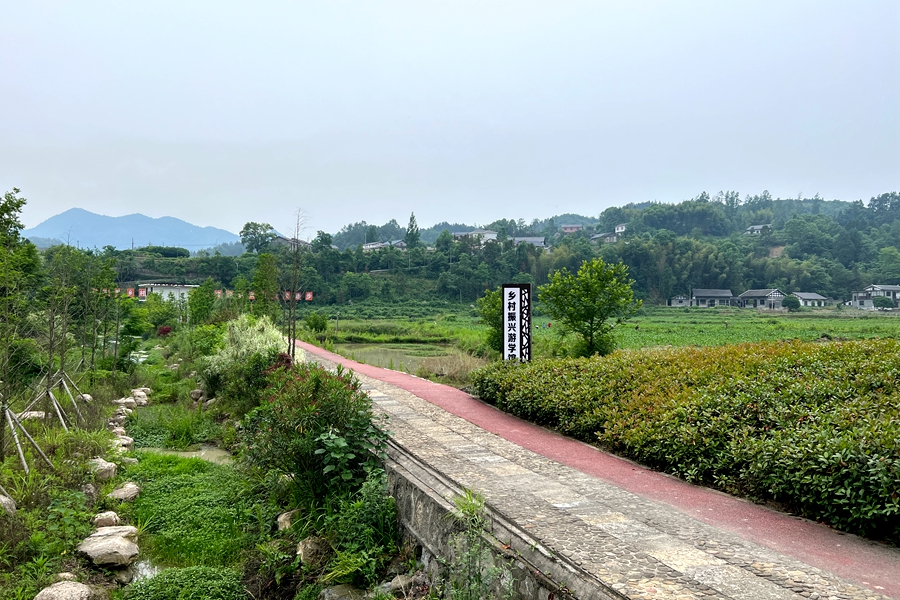 李家岗村游步道_副本.jpg