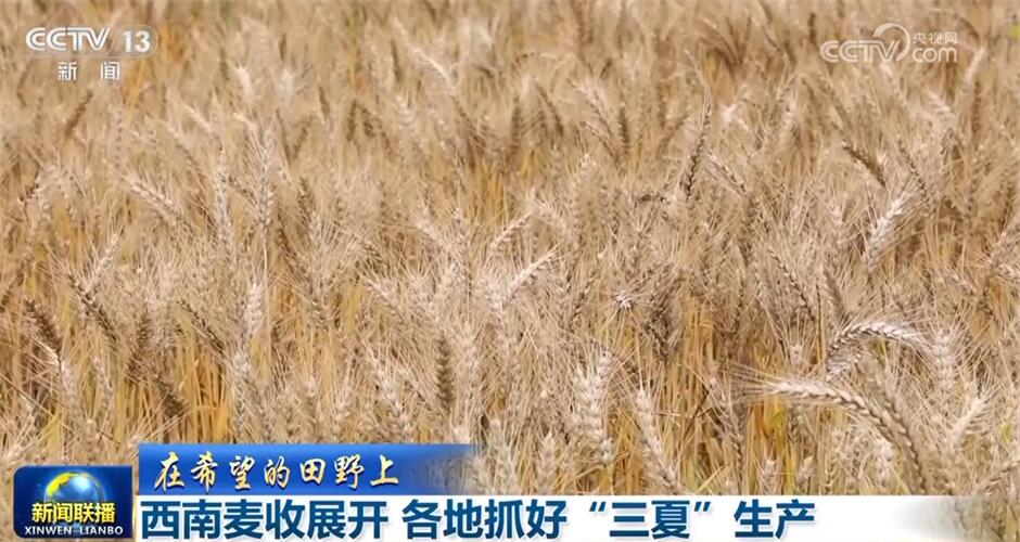 夯实“稳”的基础、增强“进”的底气 中国经济回升向好动能不断蓄积