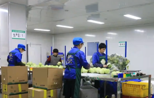 湖南省四部门联合发文支持永州蔬菜出口高质量发展