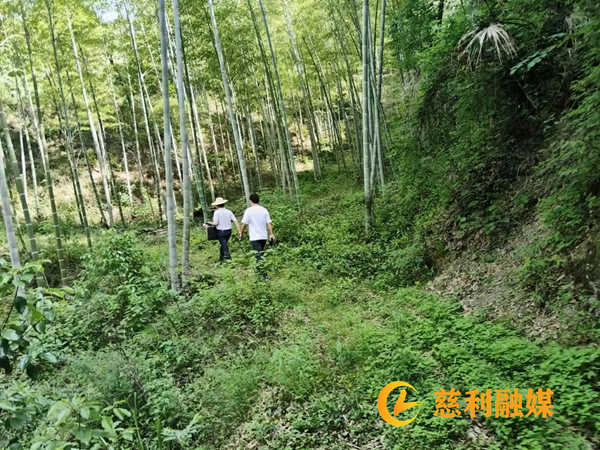 图片3_副本1.png