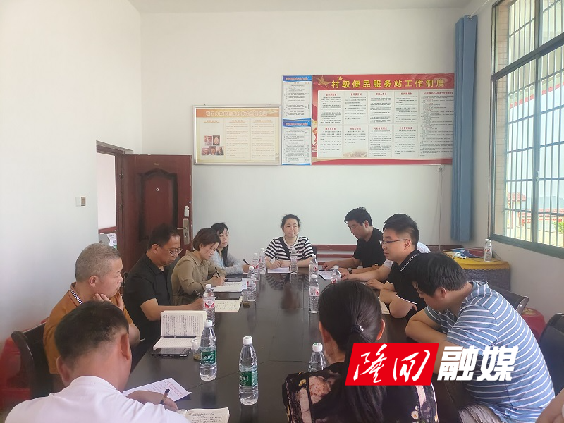 隆回县政协赴荷田乡开展农村集体经济状况调研(图1)