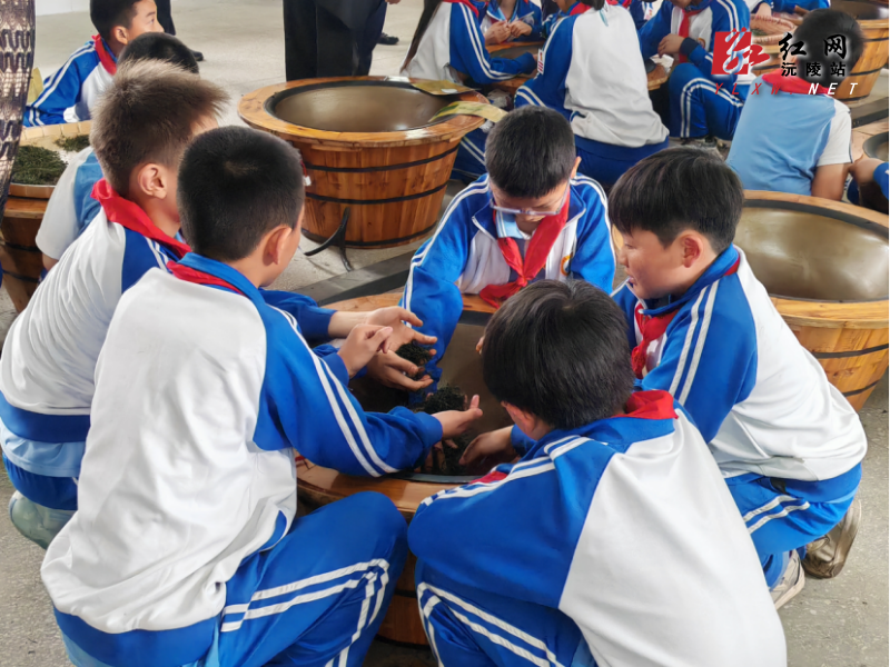 图片13.png