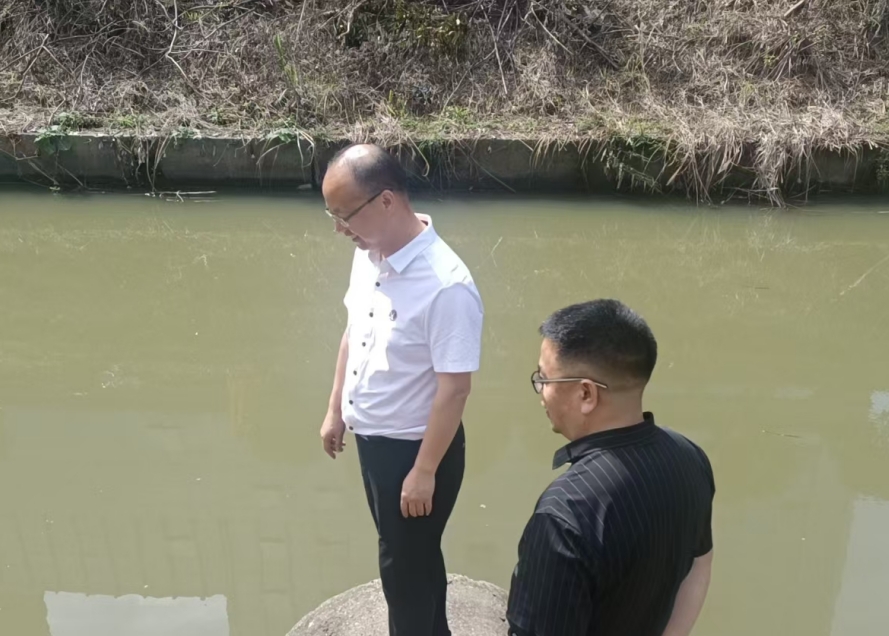 区领导开展巡河工作(图1)