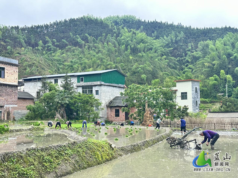 湘江源瑶族乡农民忙碌播种中稻新希望1.jpg 湘江源瑶族乡农民忙碌播种中稻新希望1.jpg