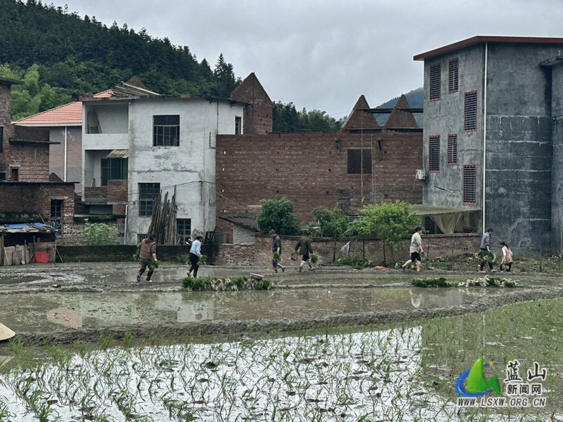 湘江源瑶族乡农民忙碌播种中稻新希望2.jpg 湘江源瑶族乡农民忙碌播种中稻新希望2.jpg