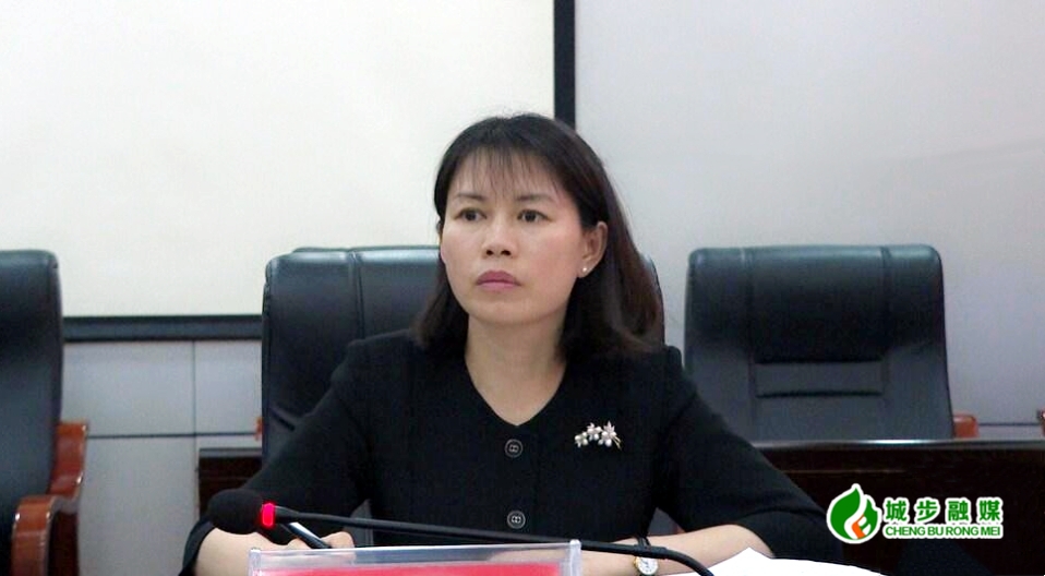 城步召开县城市容秩序整治工作第四次调度会(图2)