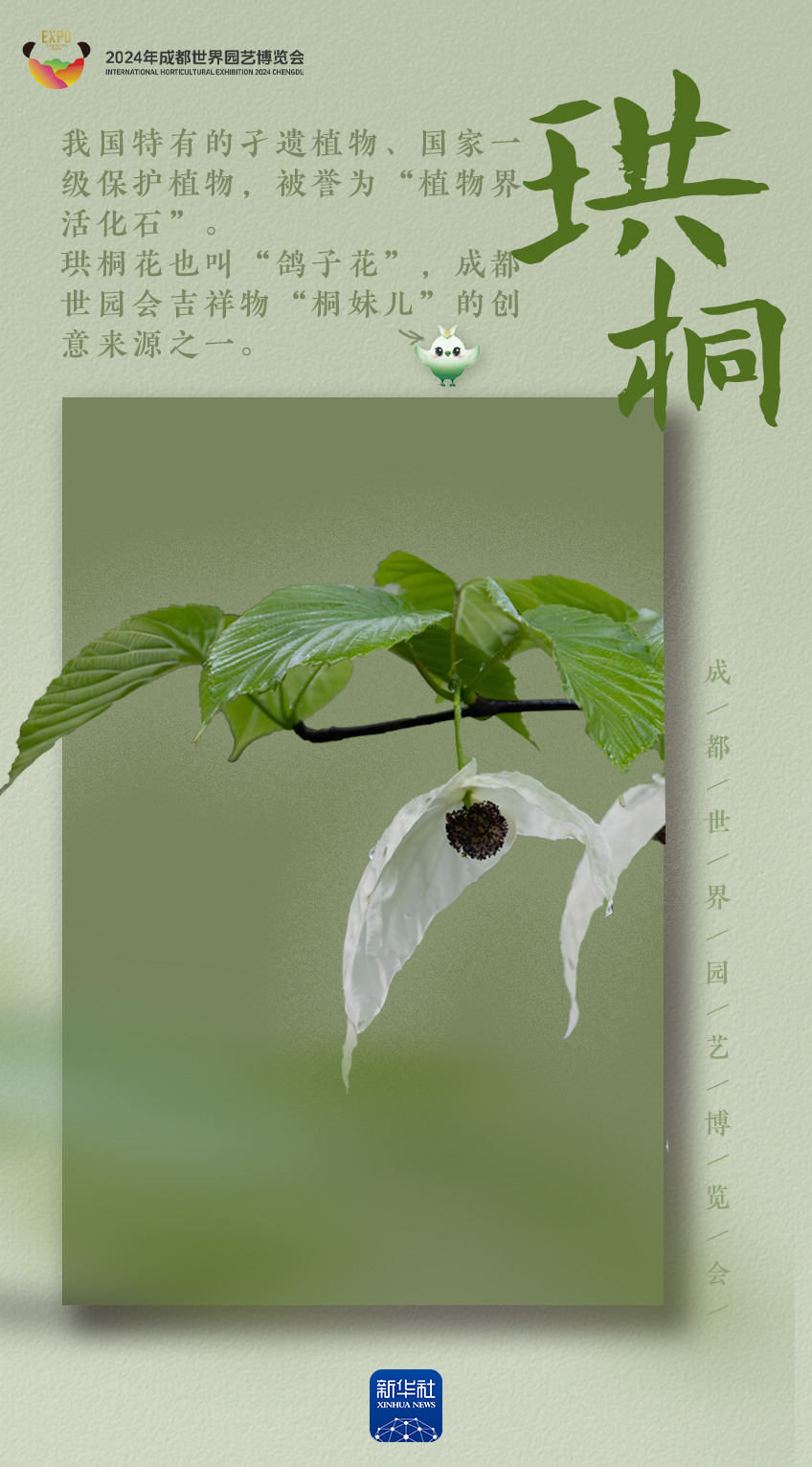 b28bdc57-fd17-4ebd-91f1-44e82506b616.jpg
