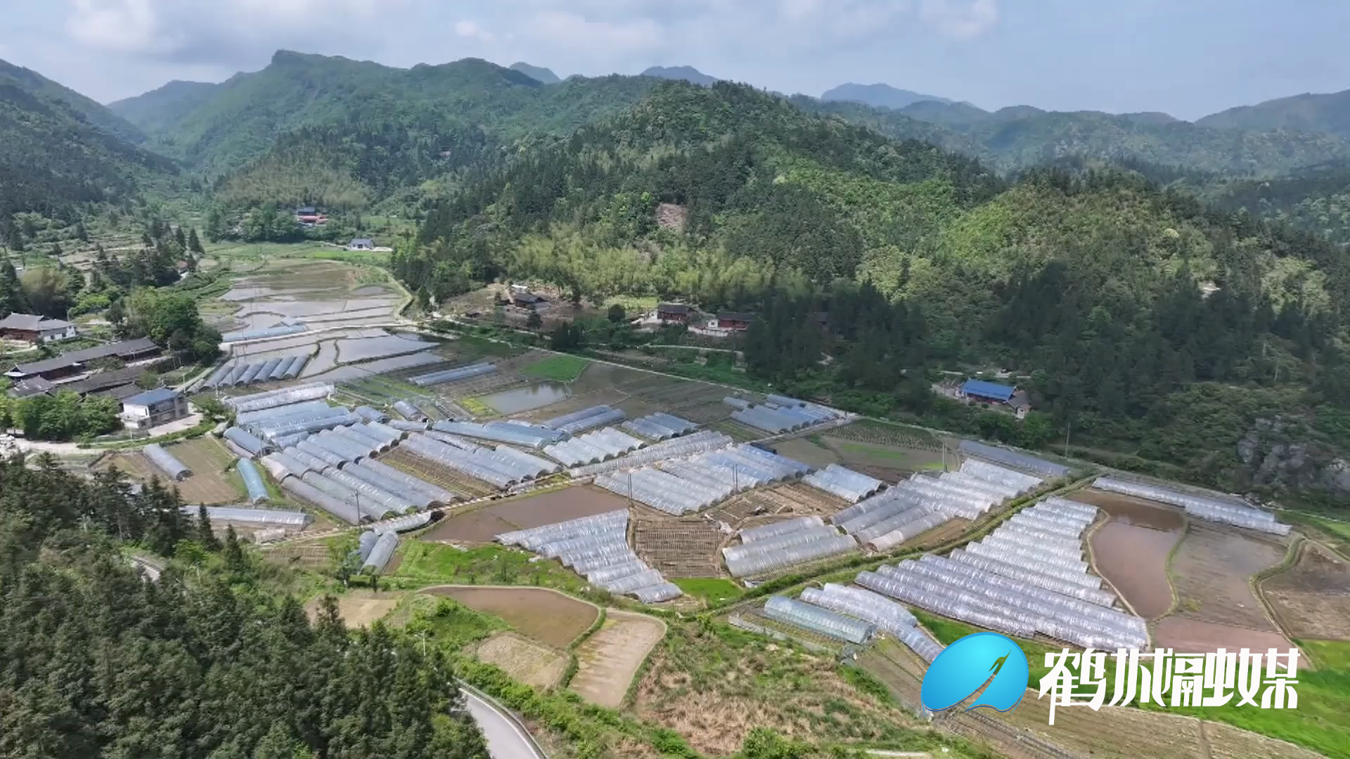鹤城区：三方合力抓整改 助力乡村振兴蝶变.mp4_20240522_153640.253.png