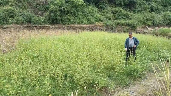 图片12.jpg