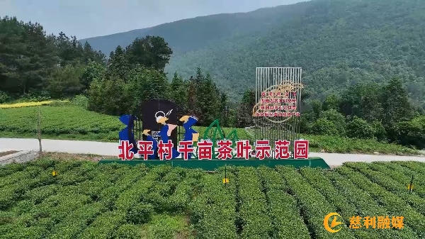 微信图片_20240523165352.png