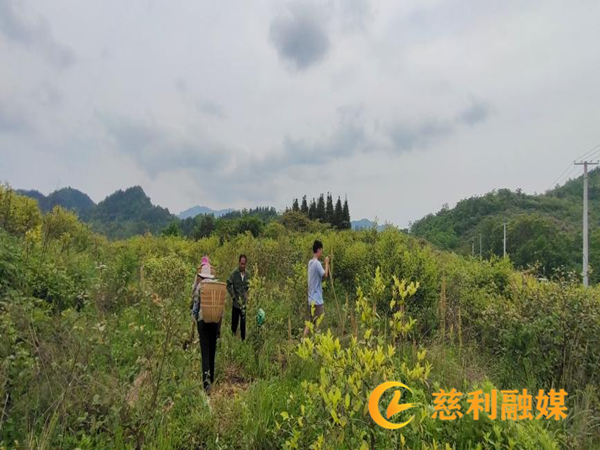 图片 2_副本2.png
