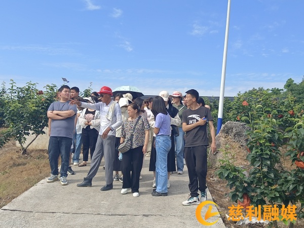 参观.jpg