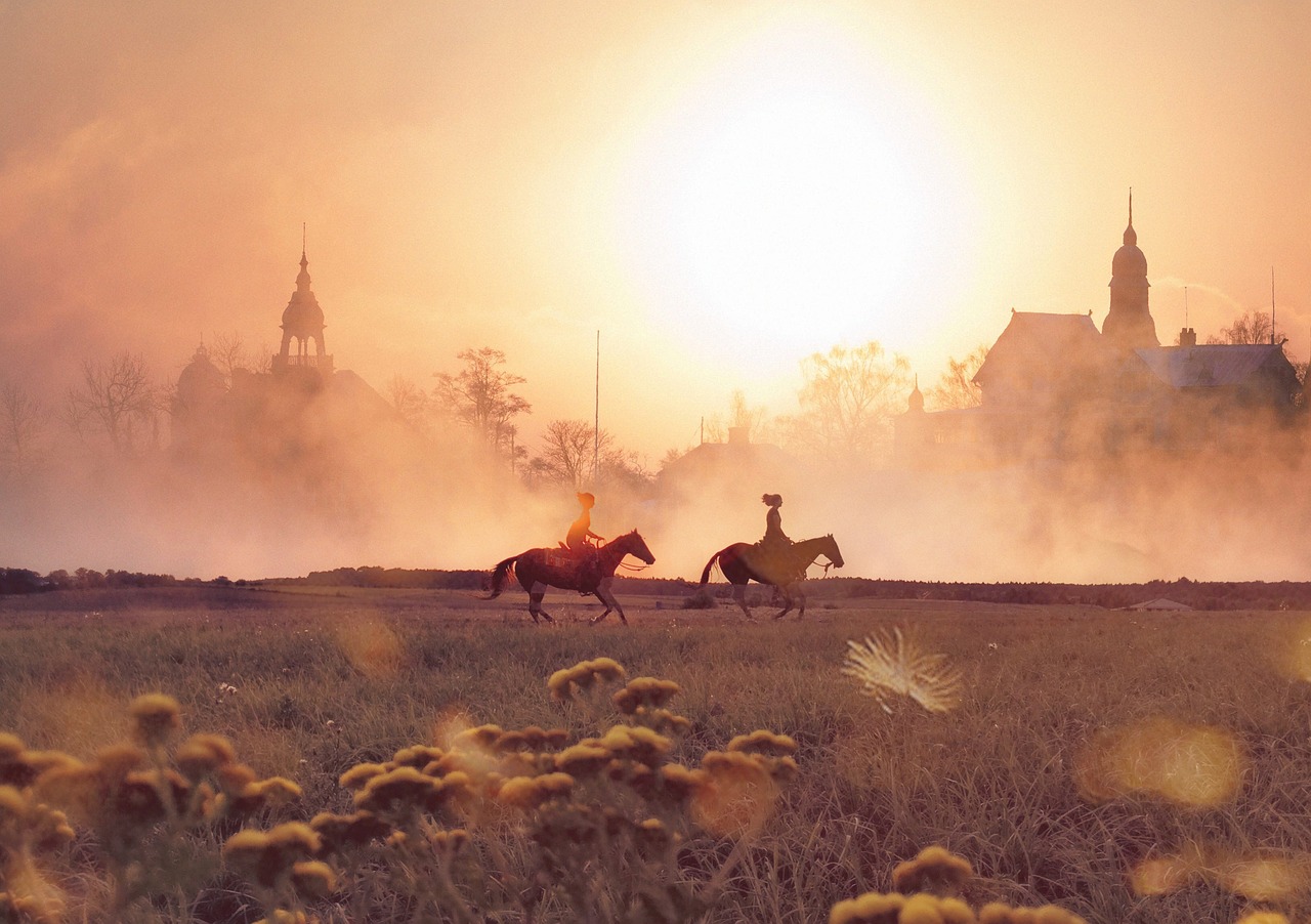 horses-5871847_1280.jpg