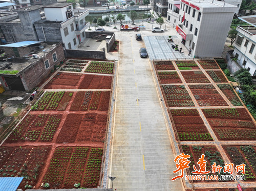 宁远：方寸小菜园  甜了村民  美了村庄_副本500.jpg